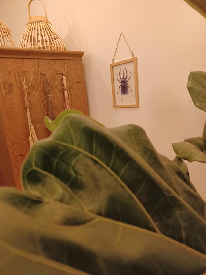 75M2 Indoor Glamping Scheveningen Διαμέρισμα Χάγη Εξωτερικό φωτογραφία